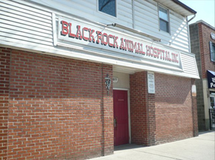 Black Rock Animal Hospital